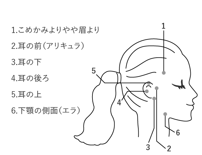 マルマ